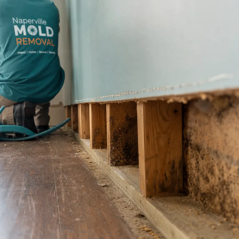 Baseboard removed and drywall cut in a controlled strip to expose a wall cavity for drying after a leak